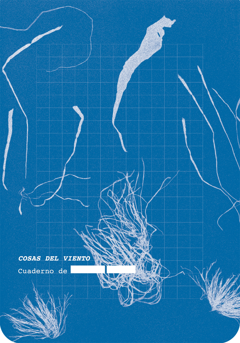 Cubierta del libro: Cosas del viento